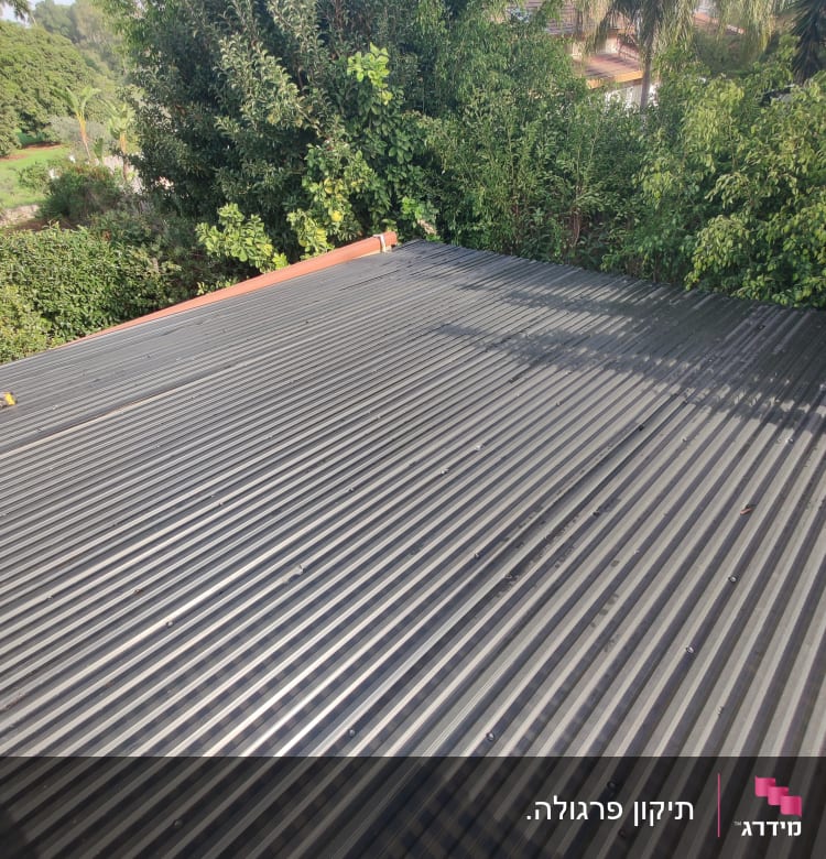 גג מתכת גלי עם עצים ברקע